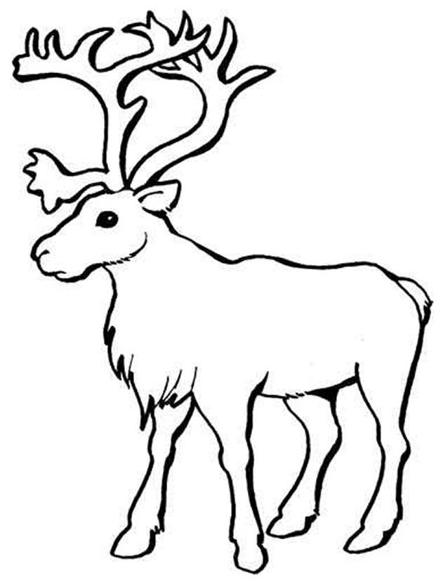 19 dessins de coloriage Cerf De Noel à imprimer