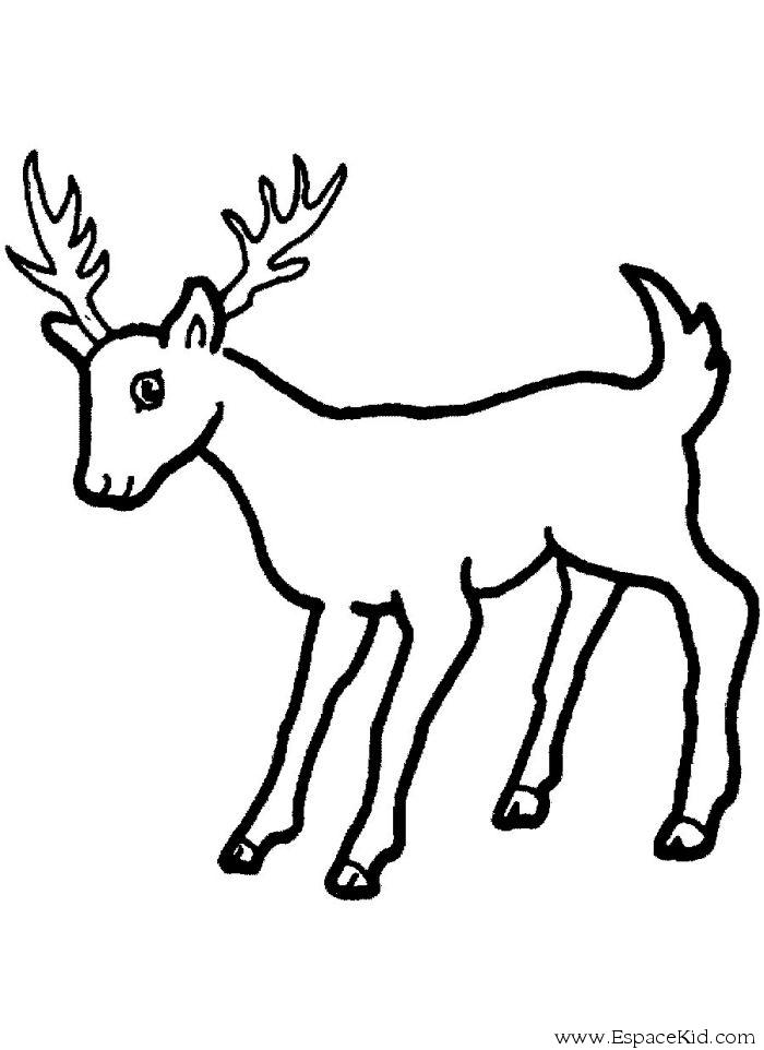 19 dessins de coloriage Cerf De Noel à imprimer