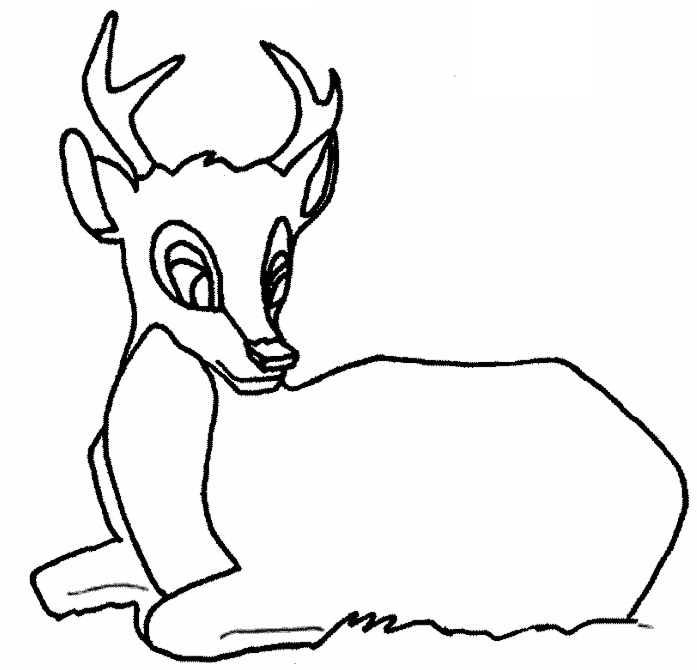 coloriage cerf et biche