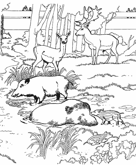 dessin cerf volant chinois