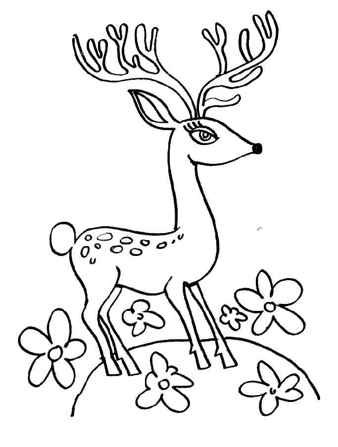 coloriage à dessiner d'un cerf volant