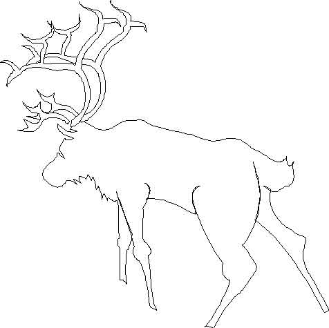coloriage tete de cerf