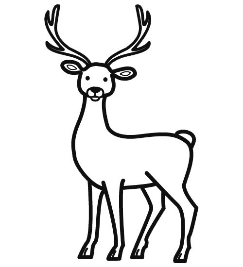 dessin cerf et biche