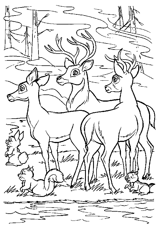 dessin à colorier cerf qui brame