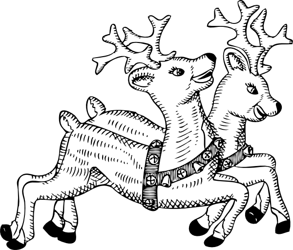 colorier un cerf