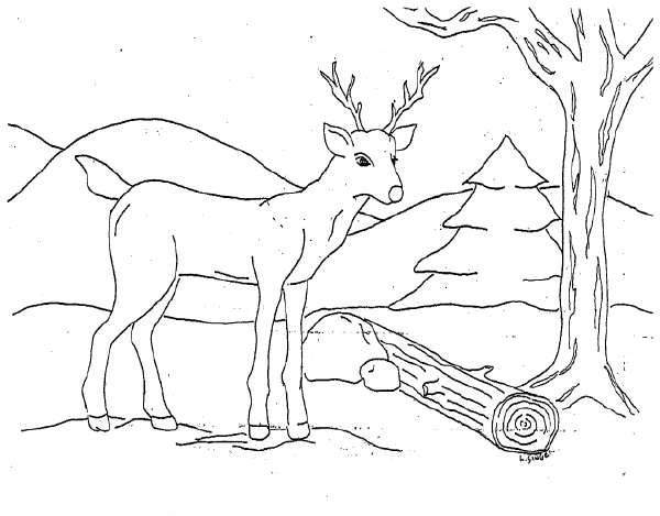 coloriage à dessiner cerfs volants