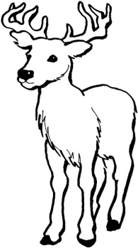 Coloriage A Dessiner Cerf Pere Noel