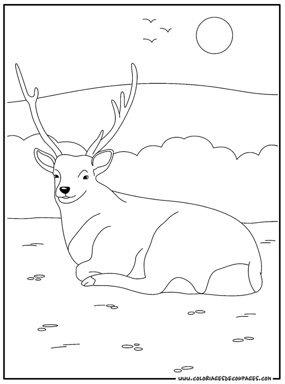 coloriage à dessiner cerf volant chinois
