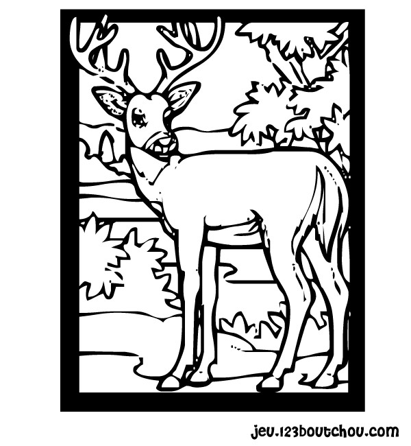 coloriage à dessiner de cerf en ligne