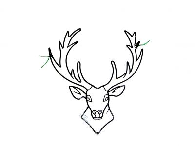 Dessin A Colorier De Cerf Volant A Imprimer