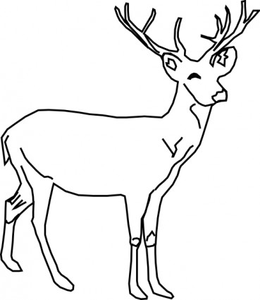 dessin à colorier lucane cerf volant