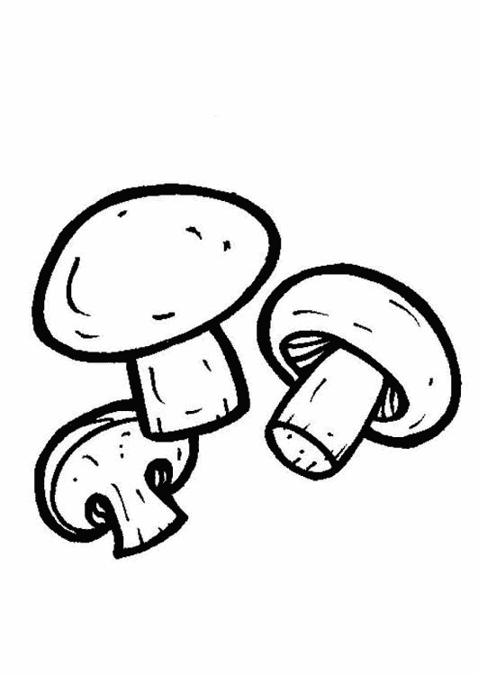 dessin  colorier d'un gros champignon