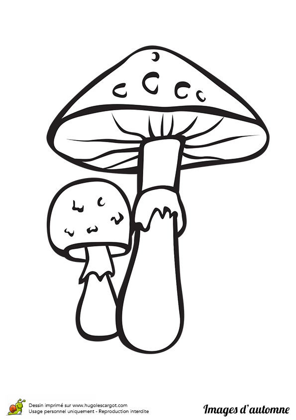 dessin  colorier champignon rigolo