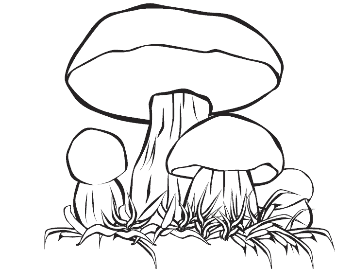 dessin à colorier champignon a imprimer gratuit