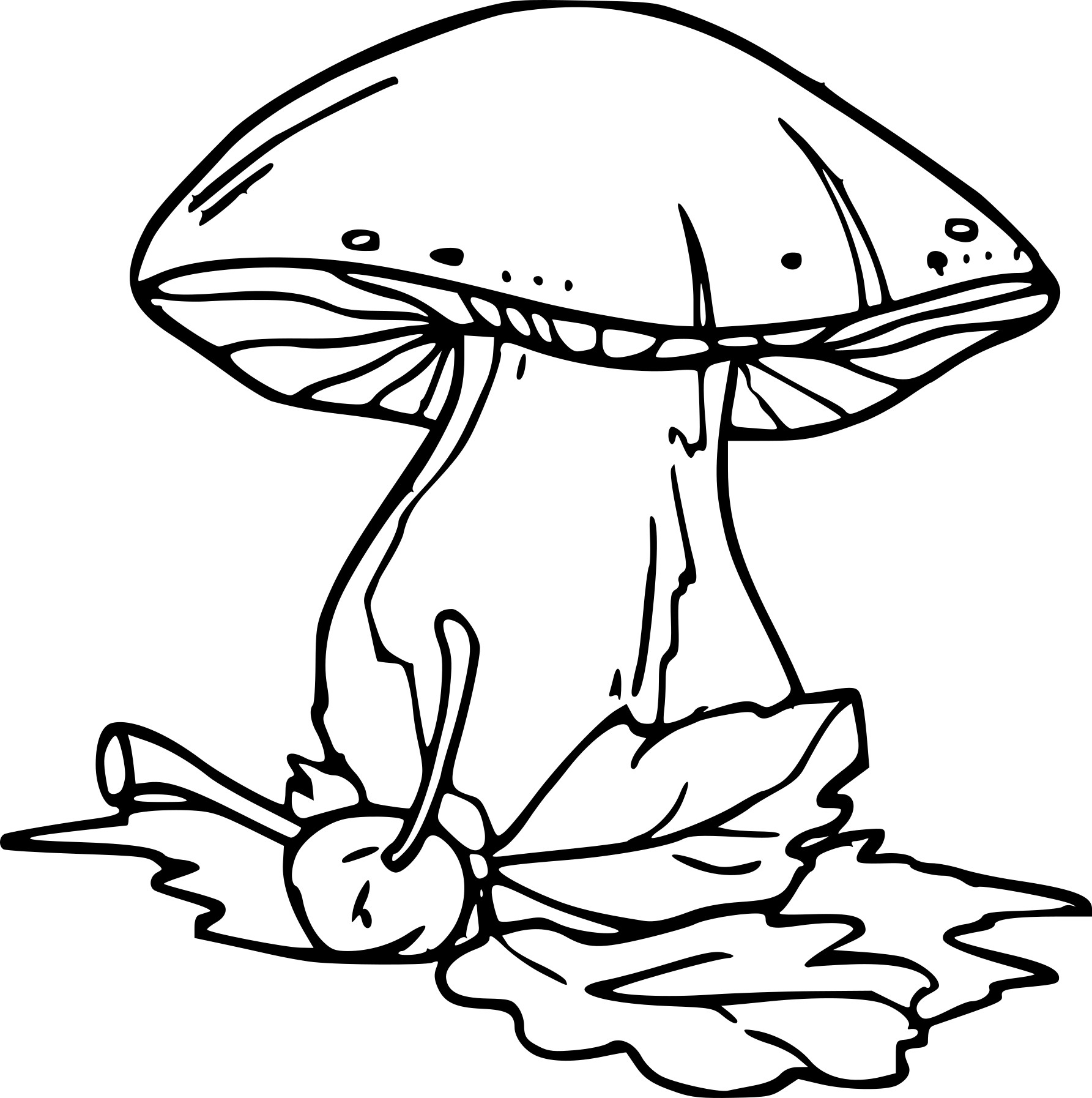 coloriage champignon a imprimer