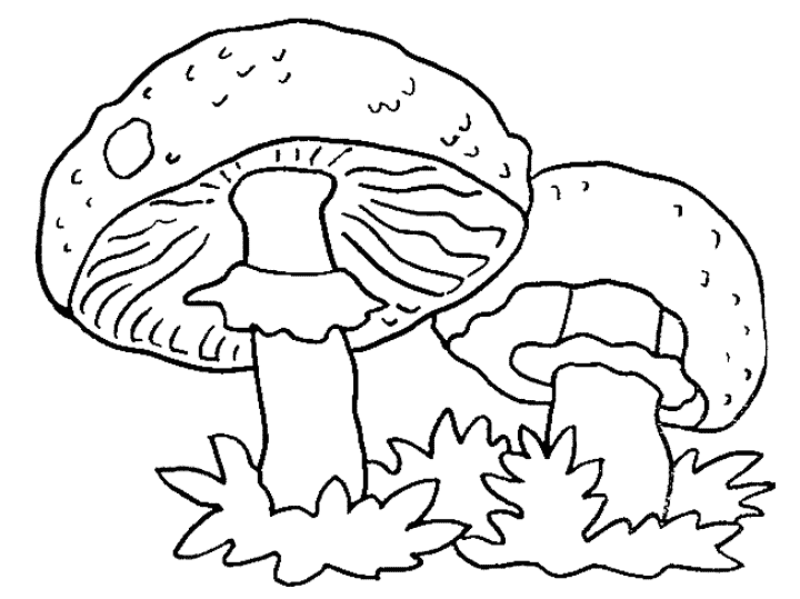 dessin à colorier champignon en ligne