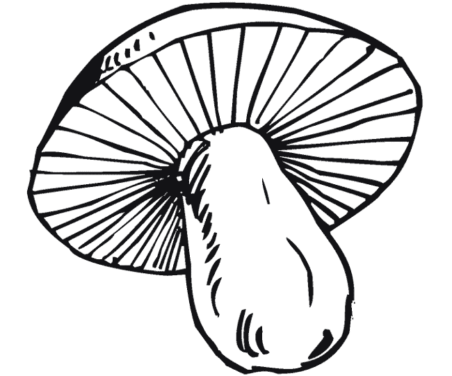 dessin  colorier gratuit champignon