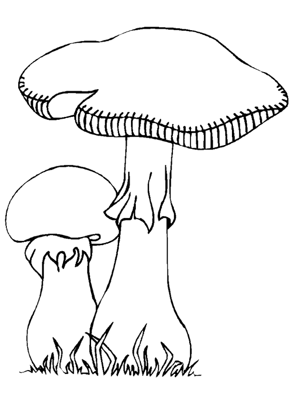 coloriage à dessiner champignon à imprimer