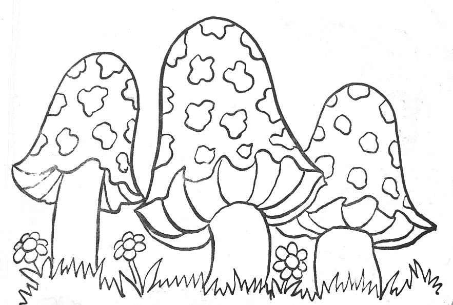 coloriage à dessiner champignon