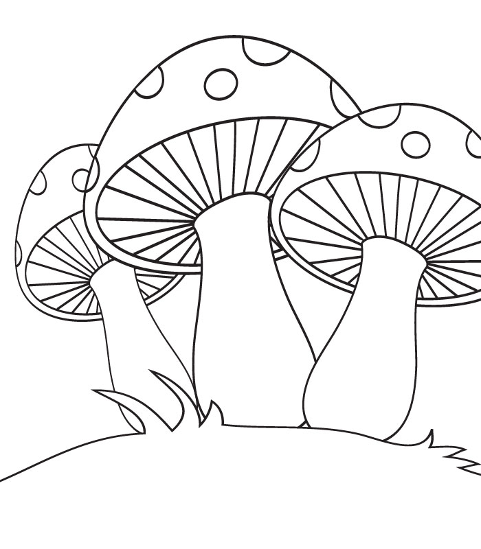 dessin à colorier dessin champignon