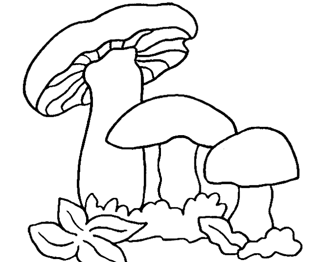 dessin à colorier champignon hugo l'escargot