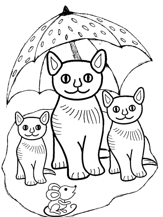 coloriage chat a imprimer gratuit