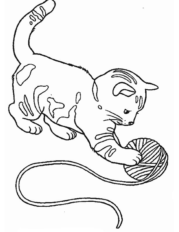 chat coloriage ligne