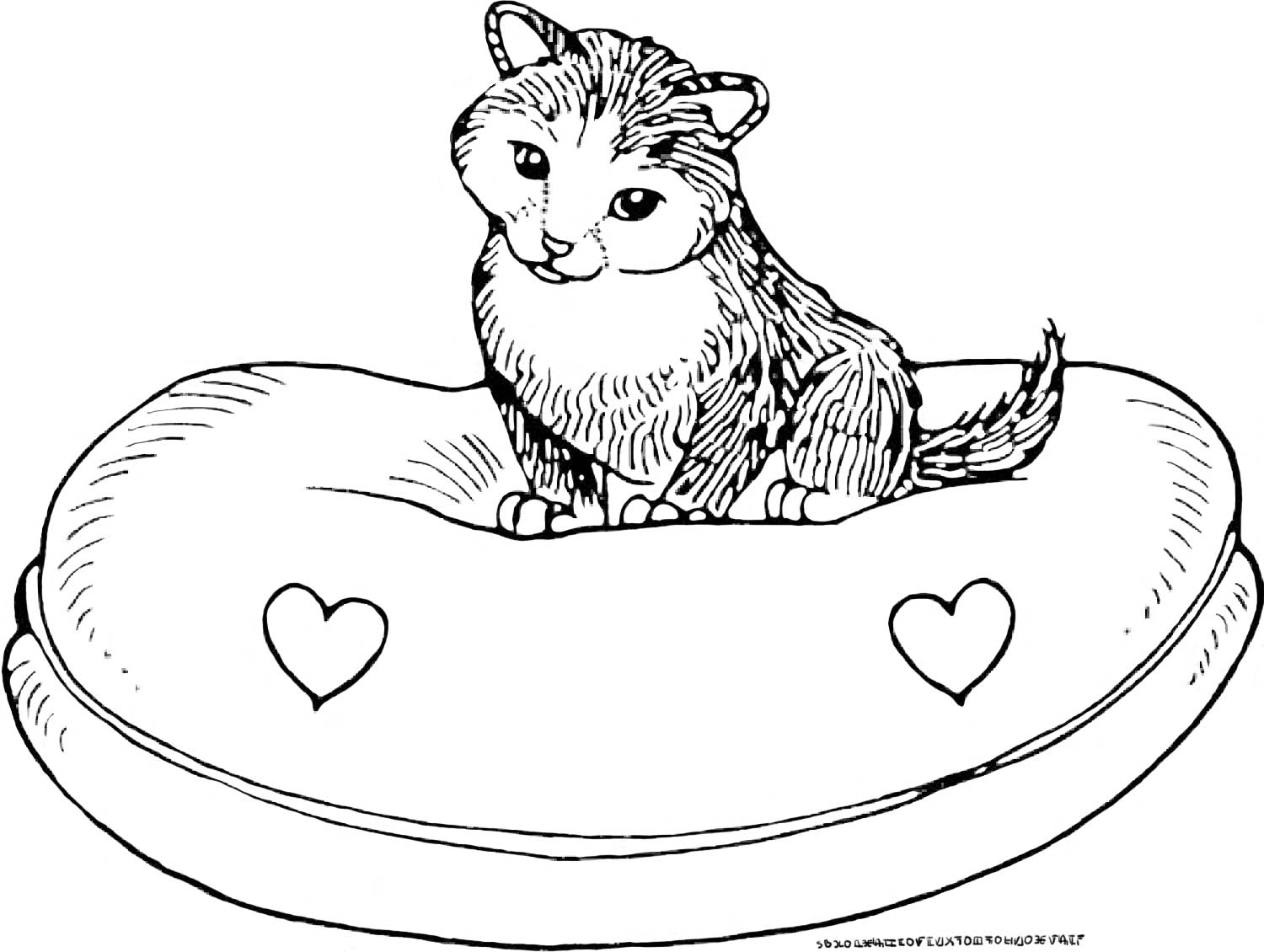 Frais Imprimer Coloriage De Vrai Chat