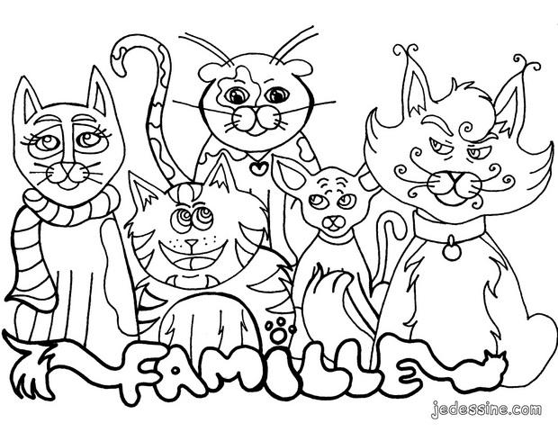 coloriage le chat