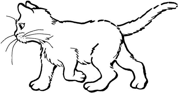 131 Dessins De Coloriage Chat à Imprimer