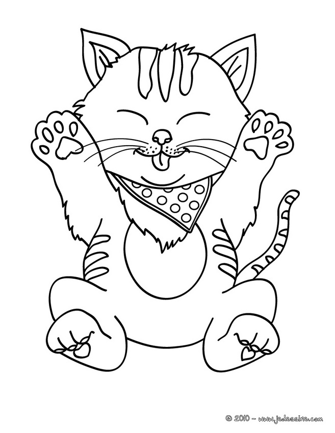 coloriage chat sauvage