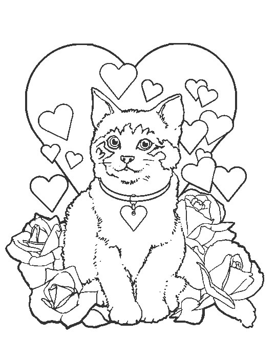 imprimer coloriage chaton