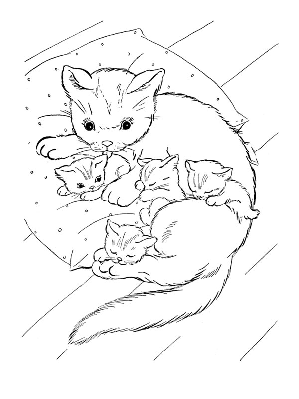 coloriage bebe chat imprimer