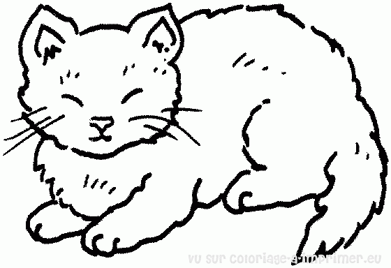 Coloriage à Imprimer Chat Gratuit