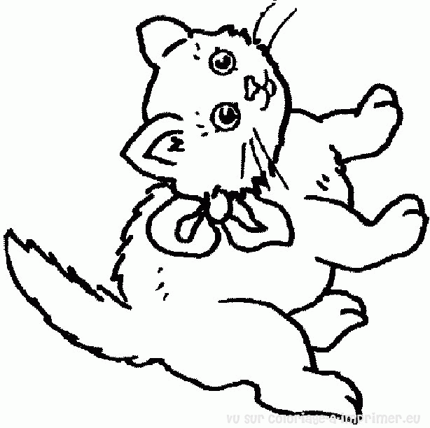 Coloriage Le Chat