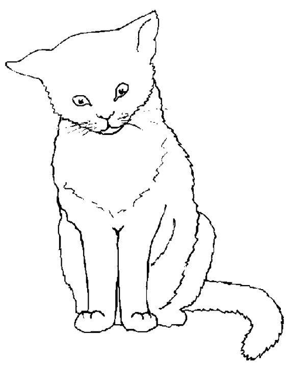 coloriage chat souris