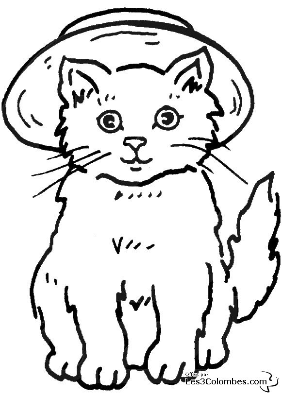 coloriage gratuit chat pott