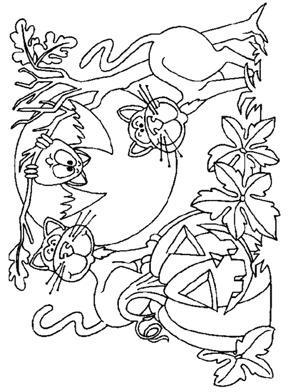 coloriage d'une chataigne