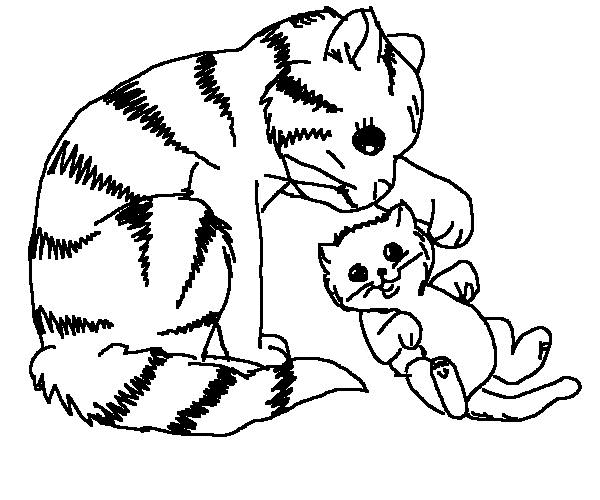 Coloriage Chat Sacre De Birmanie Coloriage Chat Sacre De Birmanie