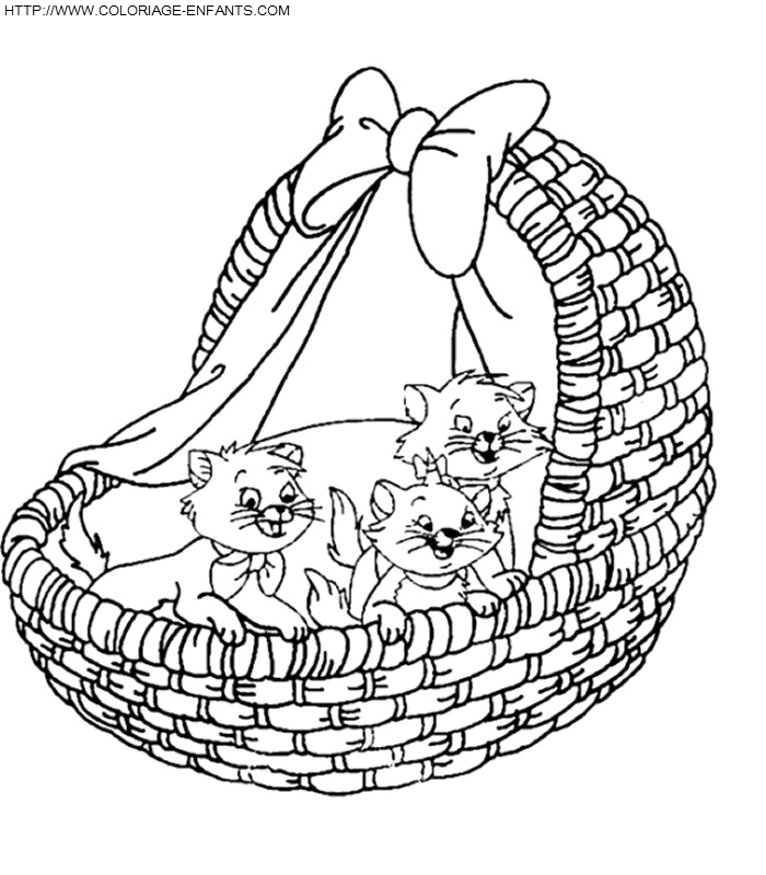 coloriage bebe chaton imprimer