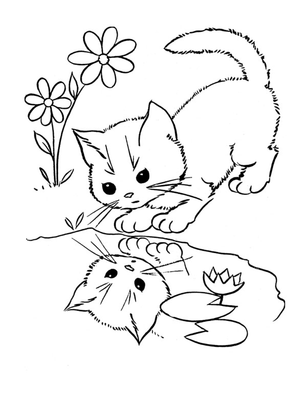 coloriage chaton à imprimer - Coloriages de Chat 44 coloriages gratuits Jedessine 