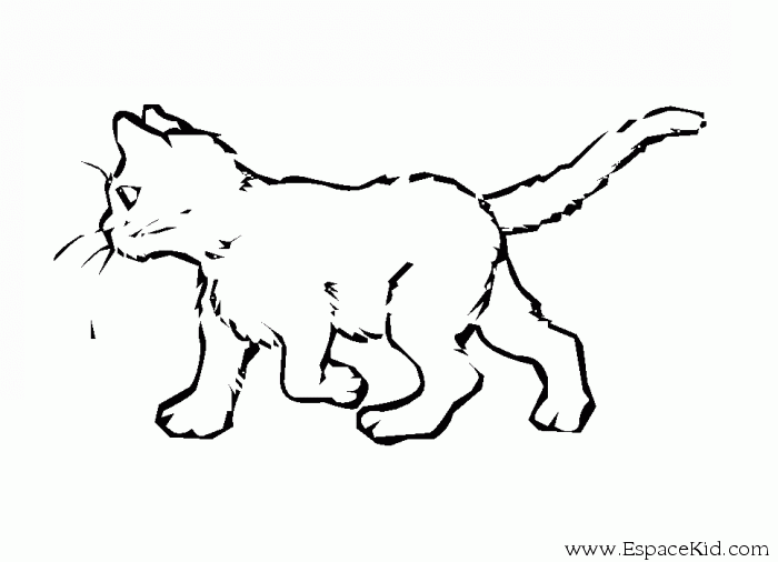 dessin chaton de noel