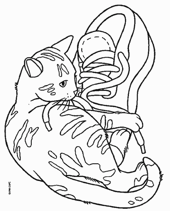 coloriage � dessiner de chaton a imprimer gratuit