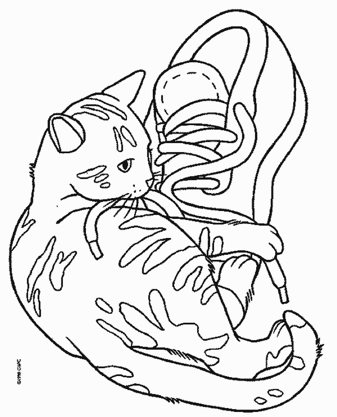 coloriage  dessiner de chaton a imprimer gratuit