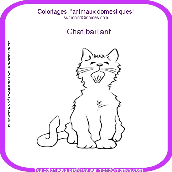 dessin  colorier de chaton