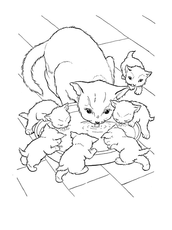 dessin chat chaton imprimer gratuit