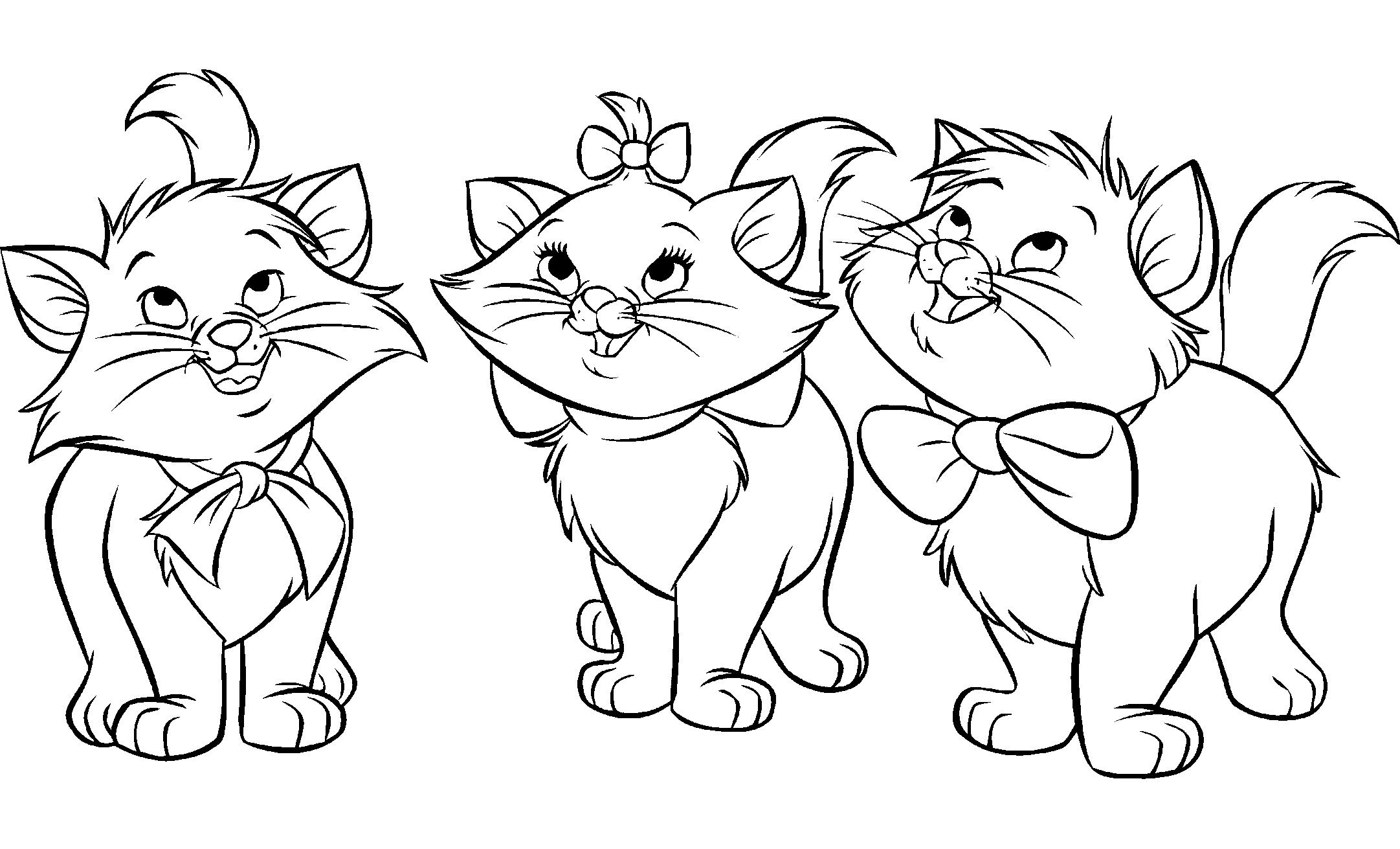 coloriage chaton