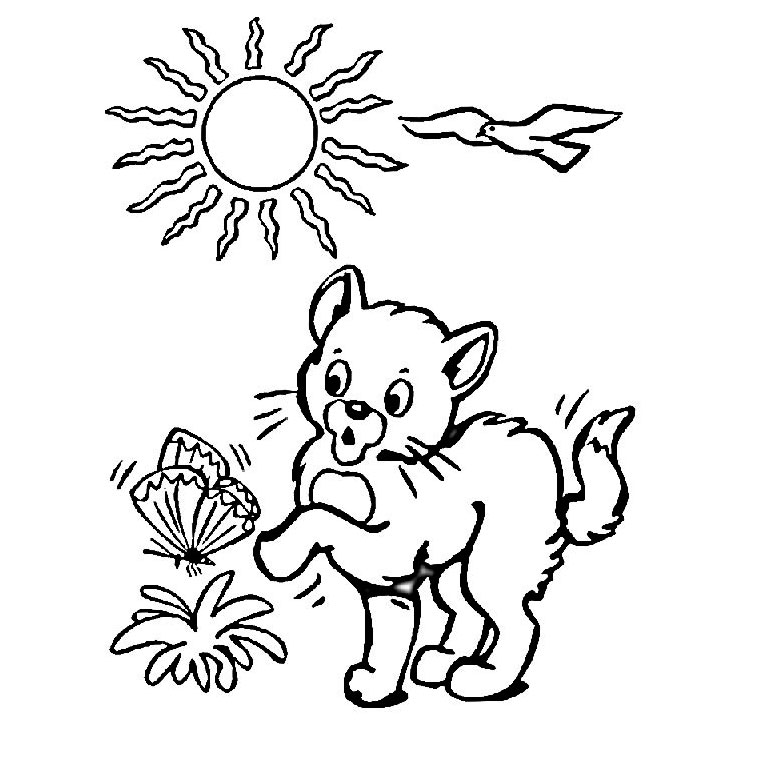 coloriage  dessiner chaton  imprimer