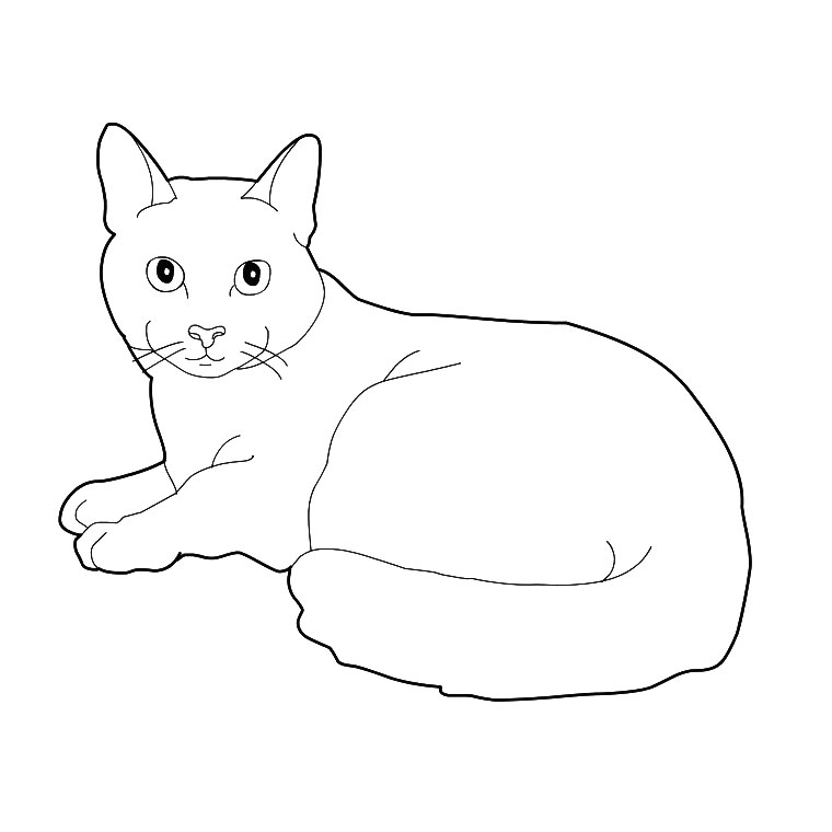 31 Dessins De Coloriage Chaton à Imprimer