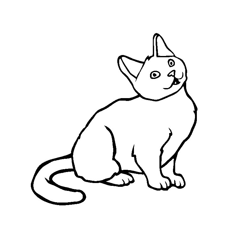 coloriage à dessiner chaton qui joue